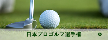 日本プロゴルフ選手権 | ゴルフボールとクラブの写真